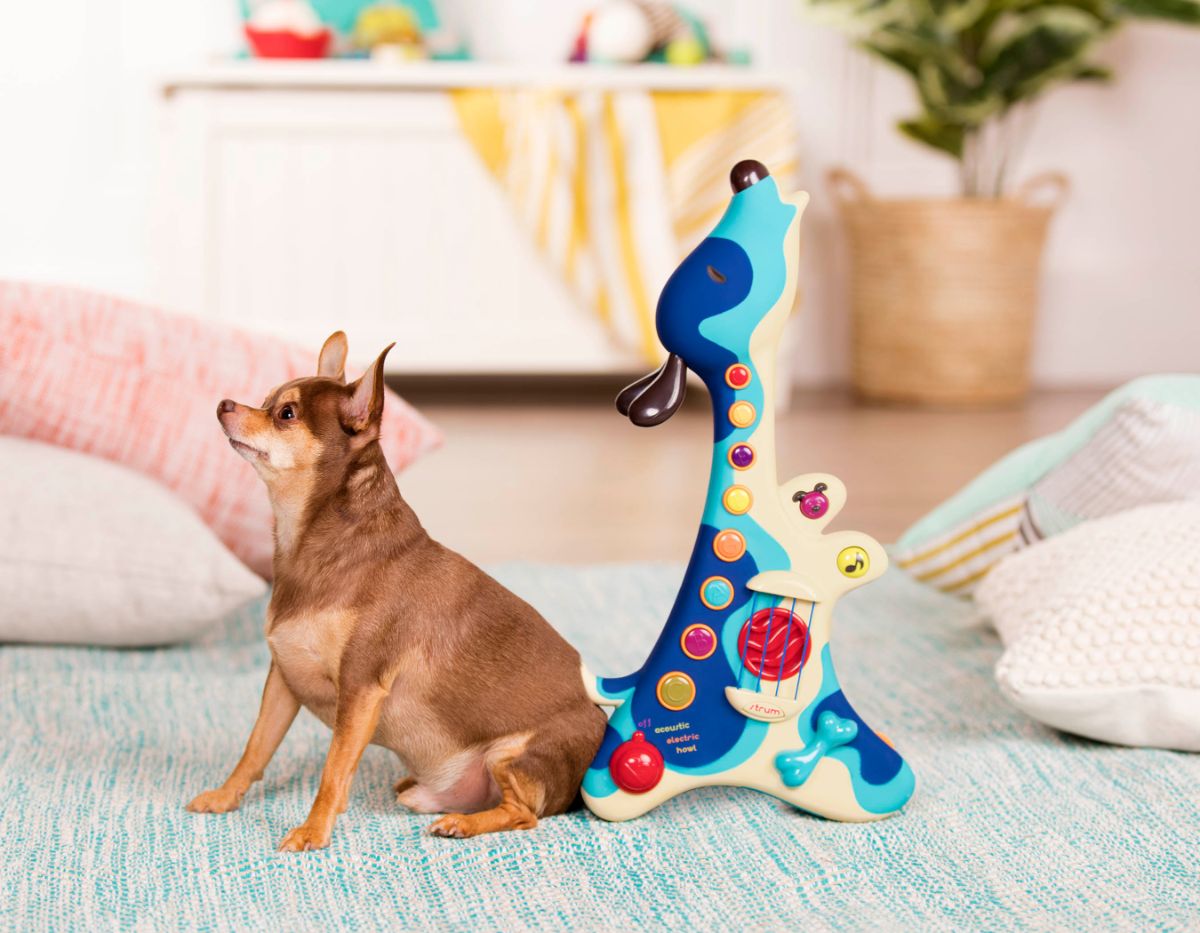 Woofer Musical