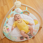 Sunrise Sunset Play Gym