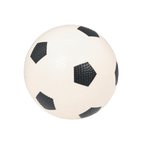 Sports Balls