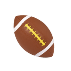 Sports Balls