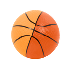 Sports Balls