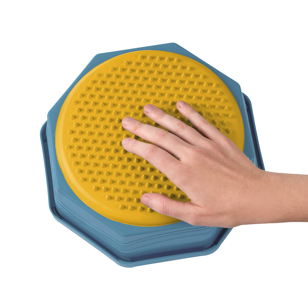Balance Hop Stepping Stones