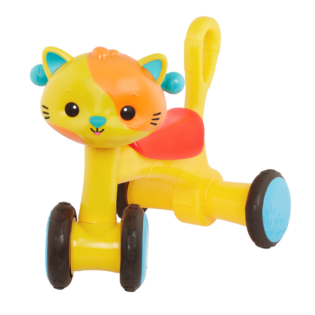 Riding Buddy Cat