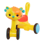 Riding Buddy Cat