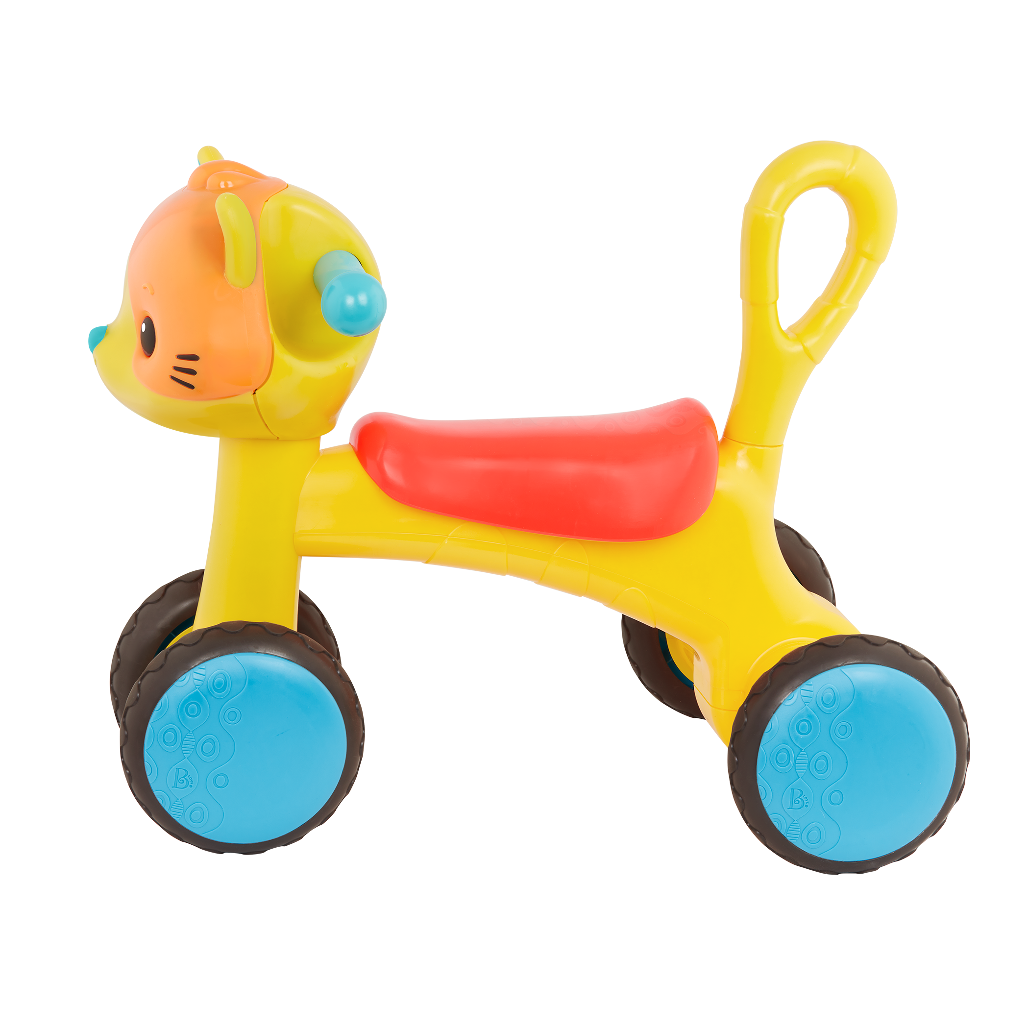 Riding Buddy Cat