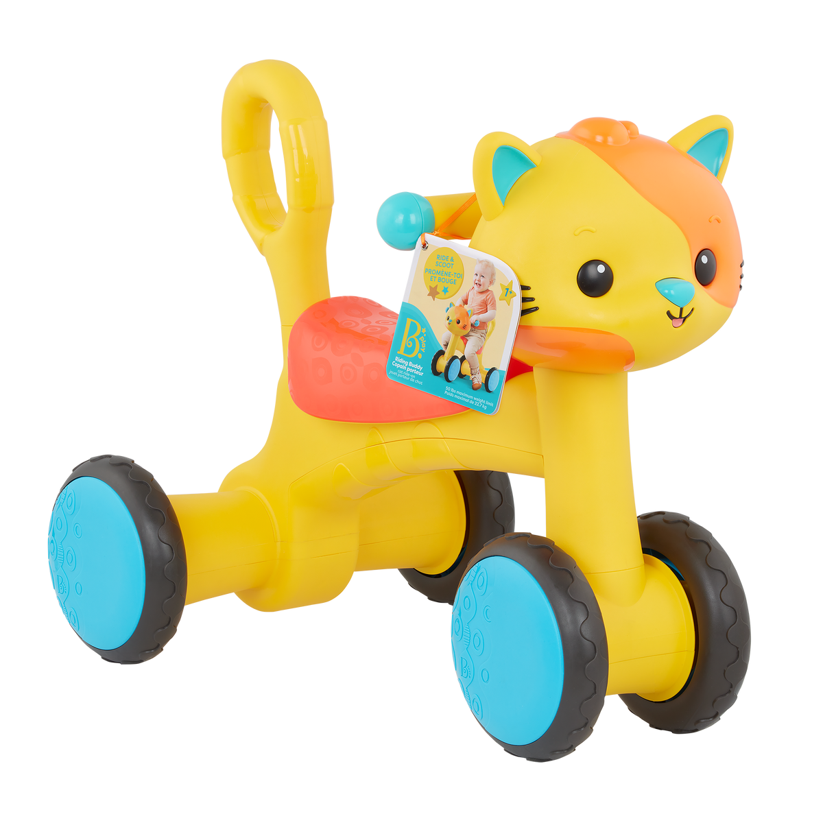 Riding Buddy Cat
