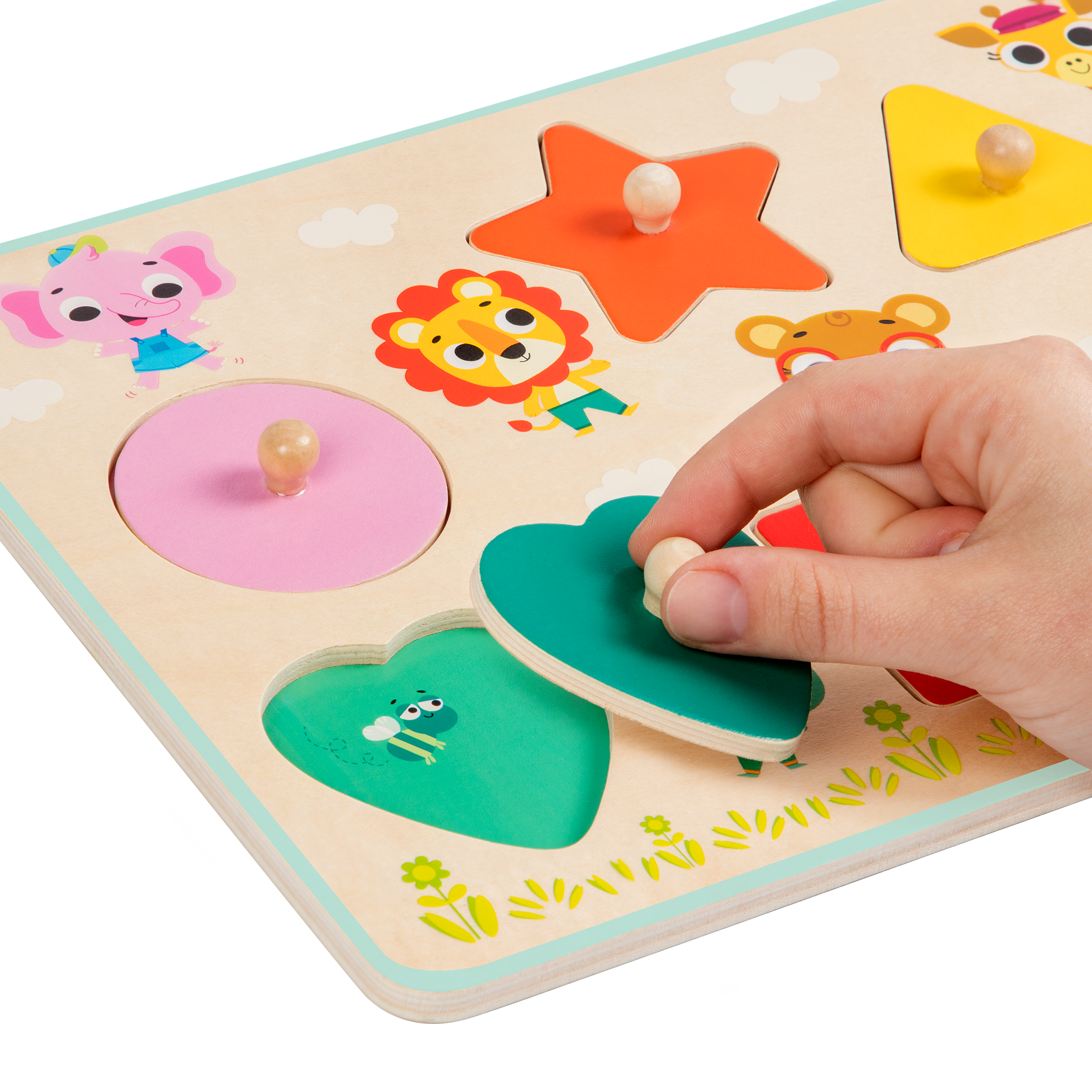 Shapely Color Puzzle